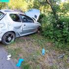 zdjęcie nr 8