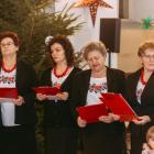 zdjęcie nr 22