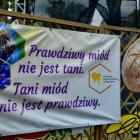 zdjęcie nr 66
