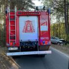 Fotka nr 1 z 2