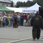 zdjęcie nr 90