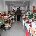 zdjęcie nr 16
