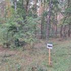 zdjęcie nr 32
