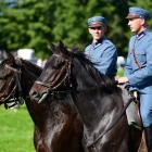 Fotka nr 3 z 14