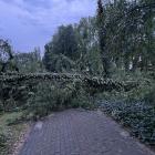 zdjęcie nr 8