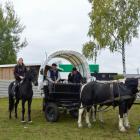 zdjęcie nr 27