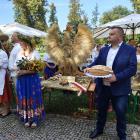 zdjęcie nr 10