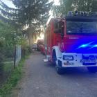Fotka nr 4 z 6
