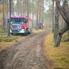 Fotka nr 4 z 10