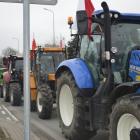 zdjęcie nr 85
