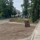 zdjęcie nr 18