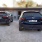 Fotka nr 2 z 6