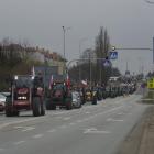 zdjęcie nr 69