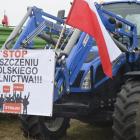 zdjęcie nr 65