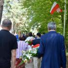 zdjęcie nr 23
