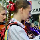 zdjęcie nr 258