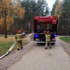 Fotka nr 2 z 10