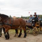 zdjęcie nr 13