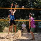 zdjęcie nr 11