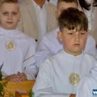 zdjęcie nr 23