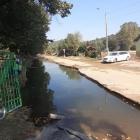 zdjęcie nr 14