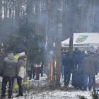 zdjęcie nr 50