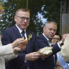 zdjęcie nr 140