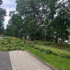 zdjęcie nr 36