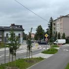 Fotka nr 1 z 6