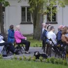 zdjęcie nr 17