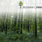 Fotka nr 1 z 3