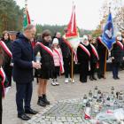 zdjęcie nr 13