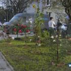 zdjęcie nr 32