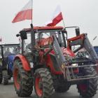 zdjęcie nr 17