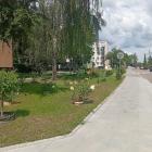 zdjęcie nr 8