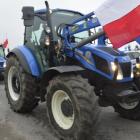 zdjęcie nr 13