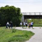 zdjęcie nr 19