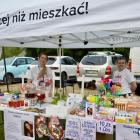 zdjęcie nr 14