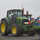 zdjęcie nr 50