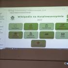 zdjęcie nr 31