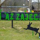 zdjęcie nr 16