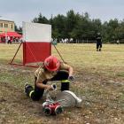 Fotka nr 1 z 11