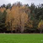 zdjęcie nr 7