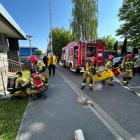 Fotka nr 5 z 7