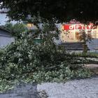 zdjęcie nr 12