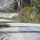 zdjęcie nr 7