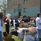 zdjęcie nr 28
