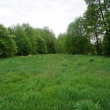 zdjęcie nr 