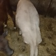 zdjęcie nr 
