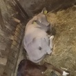 zdjęcie nr 